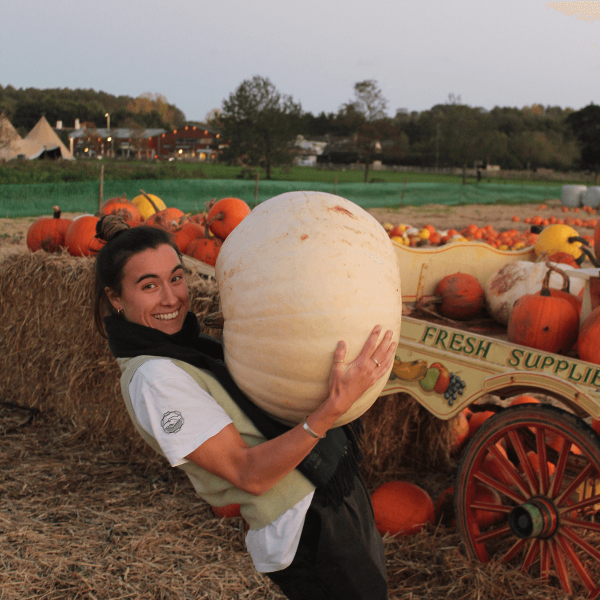 Darts Farm Pumpkin Fest