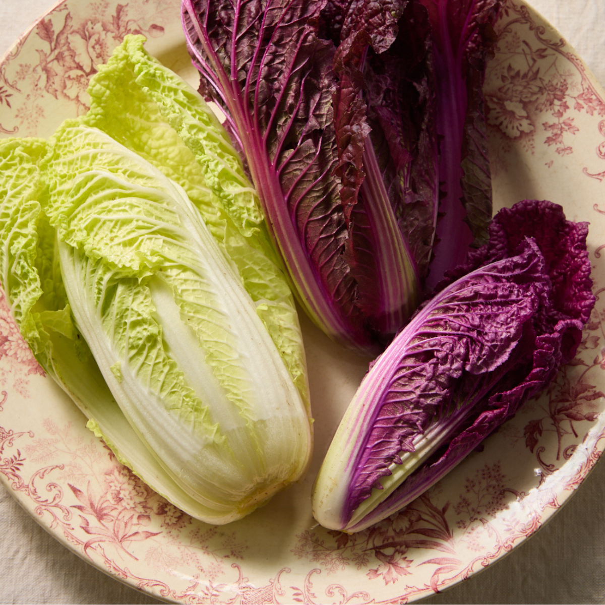 Kimchi Workshop with Rachel de Thample | 17.09.26
