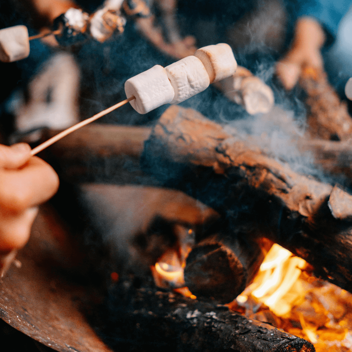 Darts Farm Pumpkin Fest