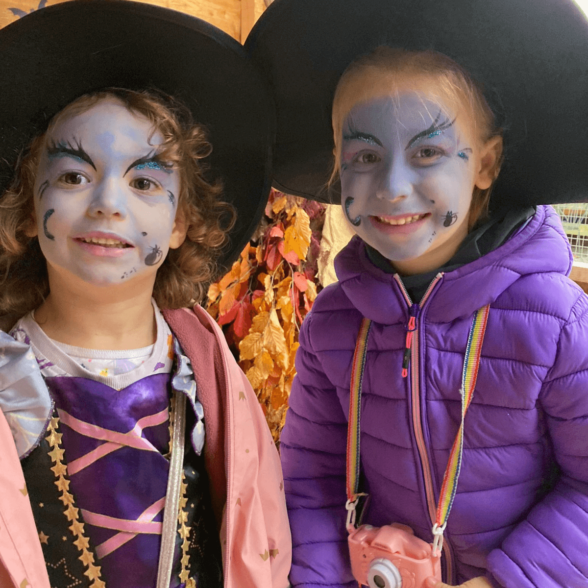 Darts Farm Pumpkin Fest