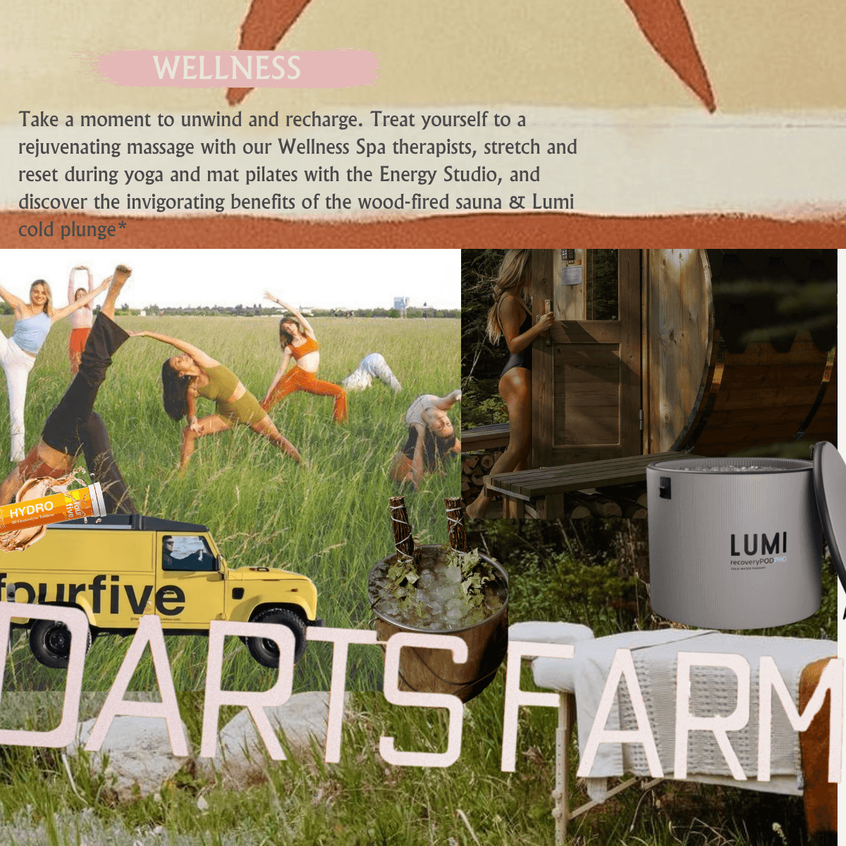 Darts Farm Summer Festival