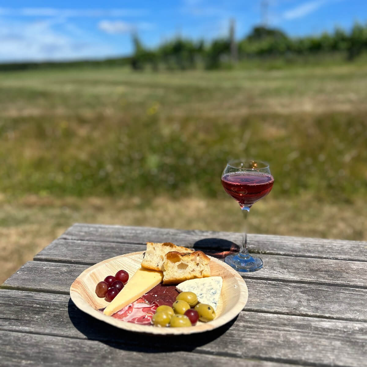 Pebblebed Vineyard Tours - 2026 Season