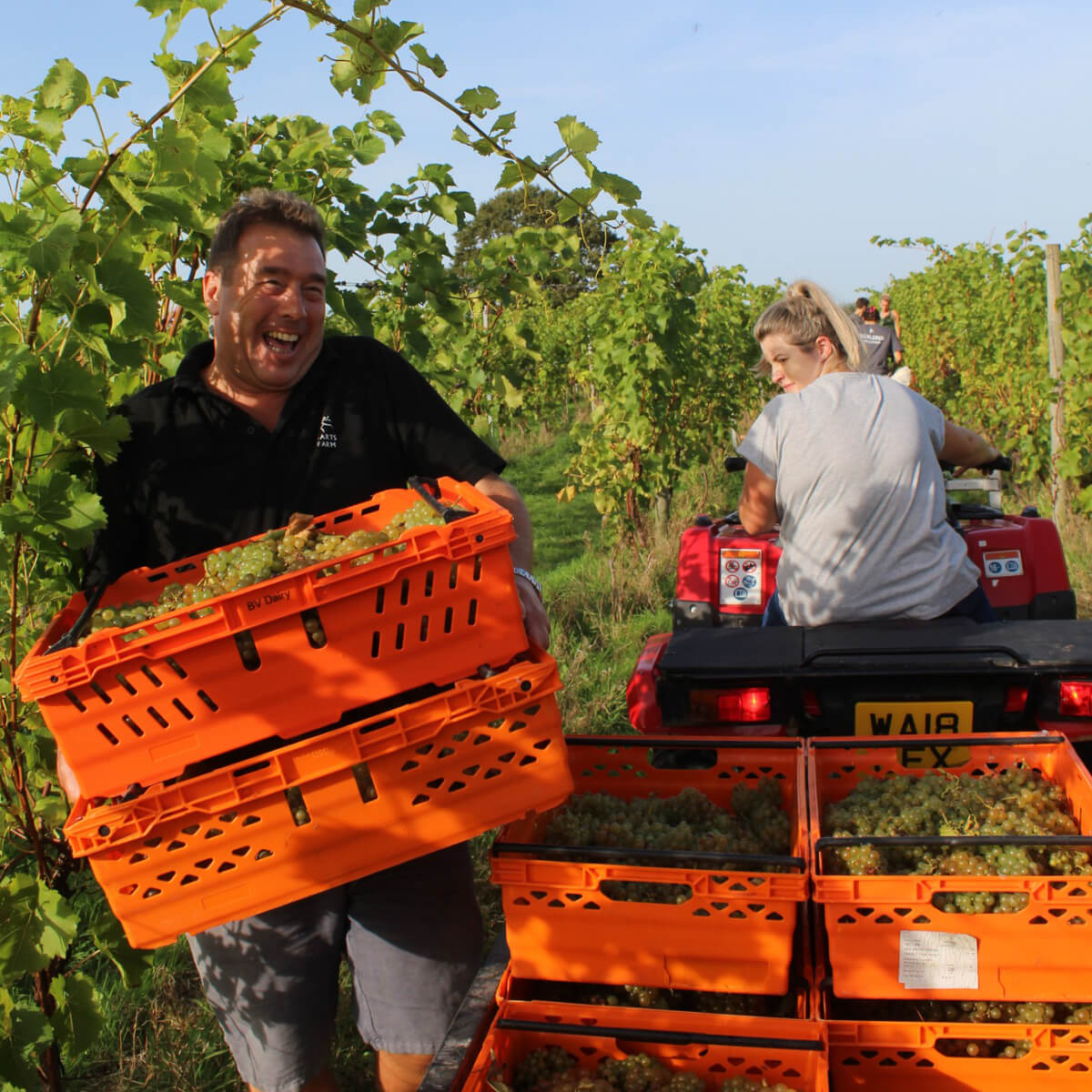 Pebblebed Community Harvest - SIGN UP