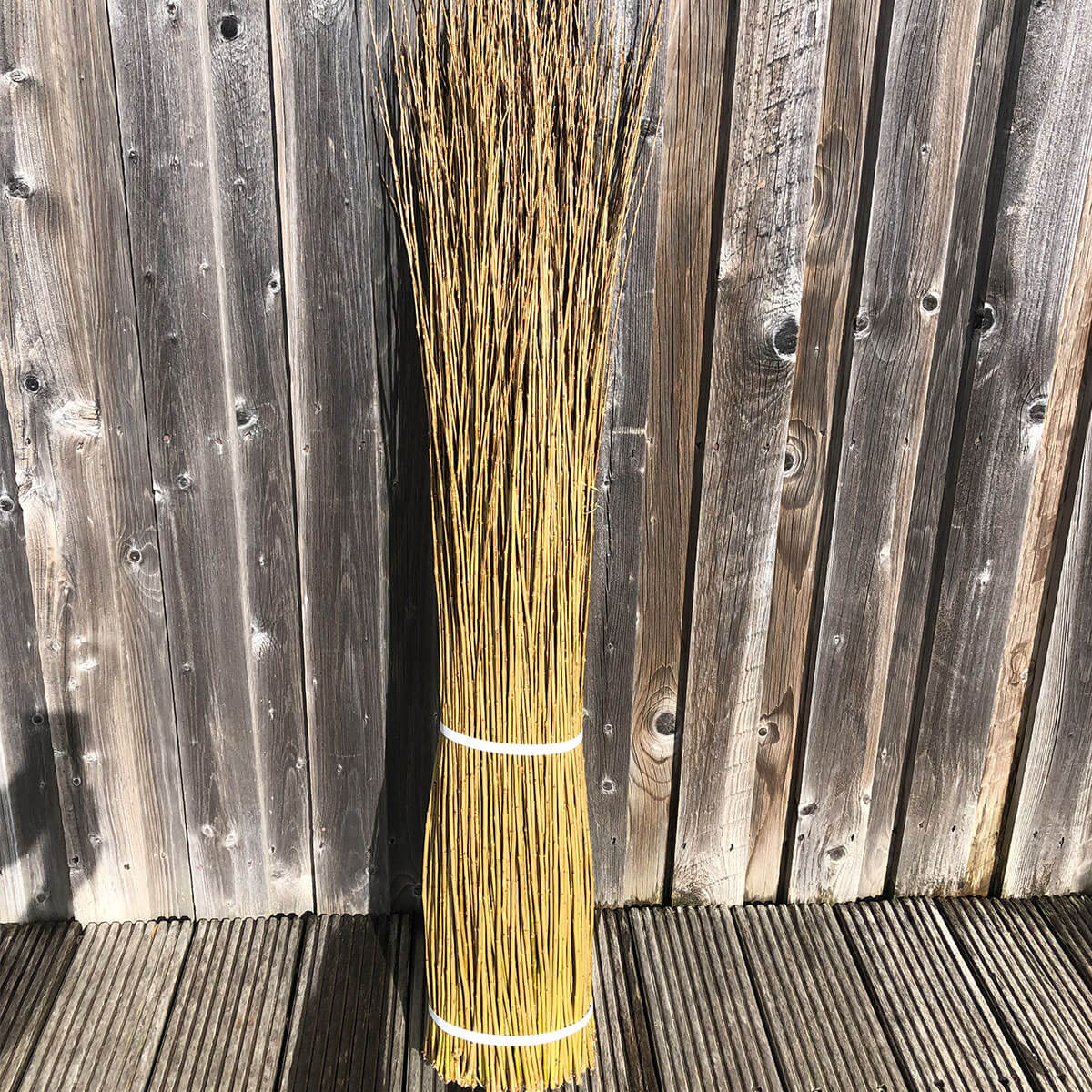 Willow Swifts Masterclass | 25.04.26