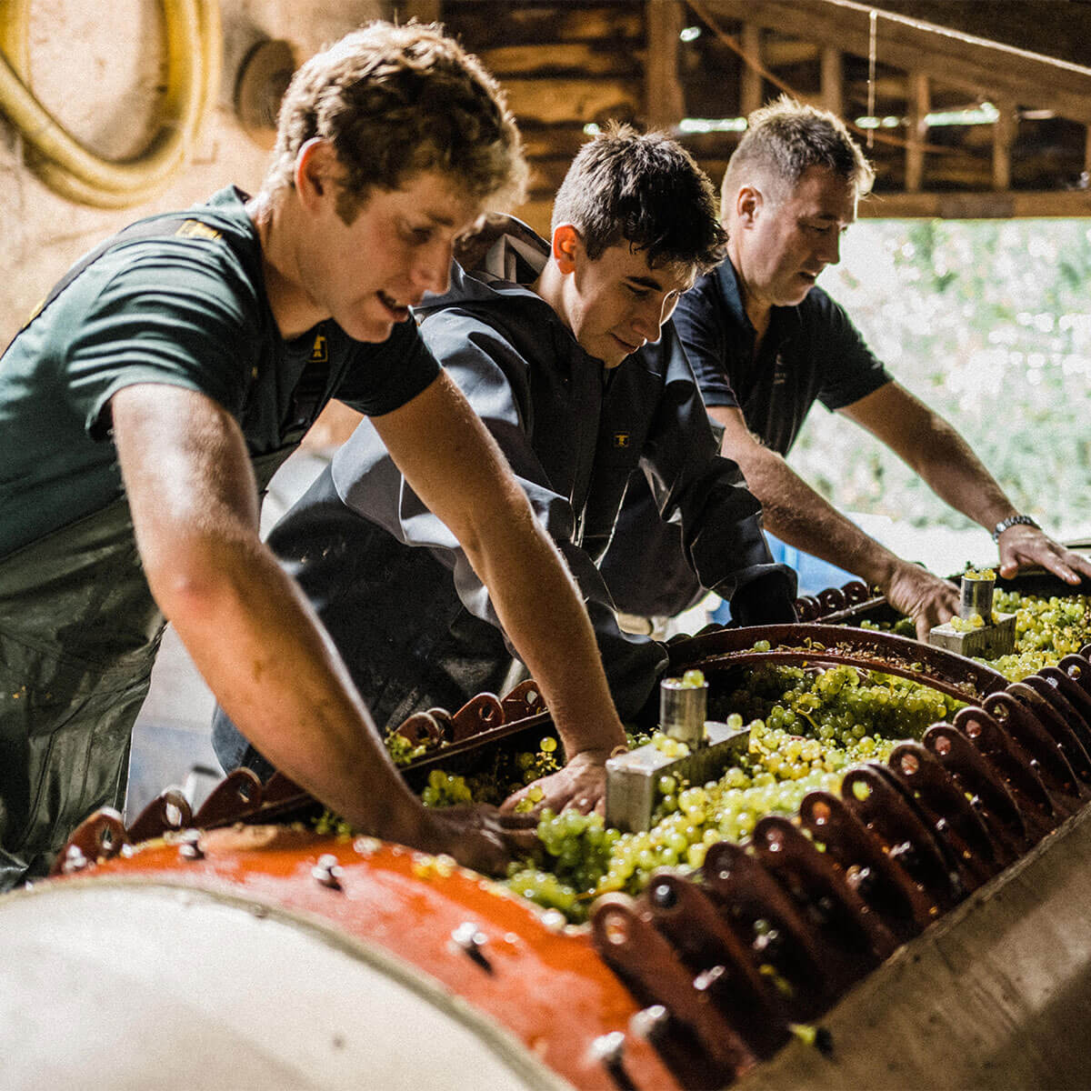 Pebblebed Community Harvest - SIGN UP