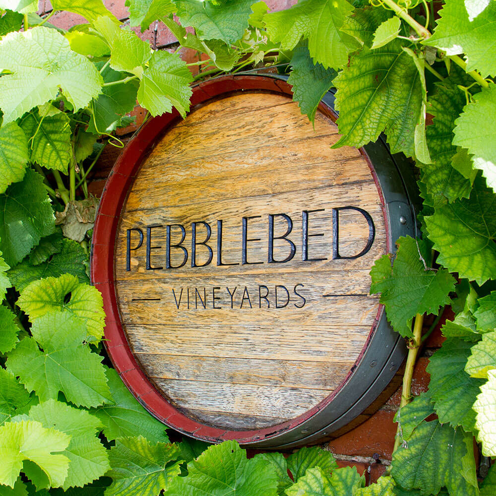 Pebblebed Vineyards Tours - 2025 Season