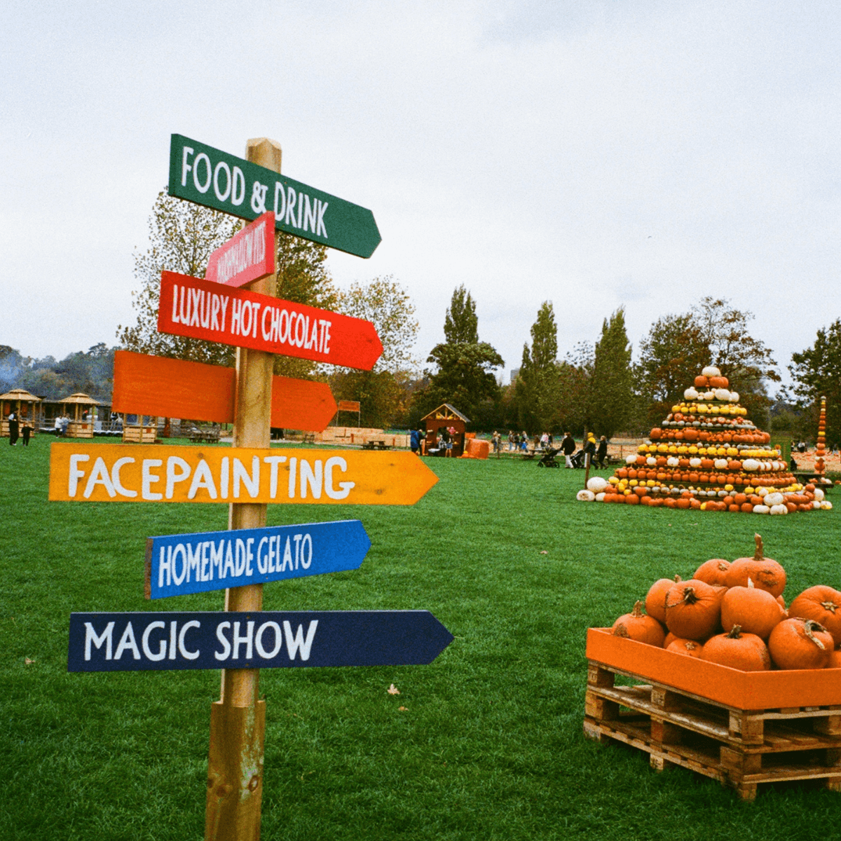 Darts Farm Pumpkin Fest