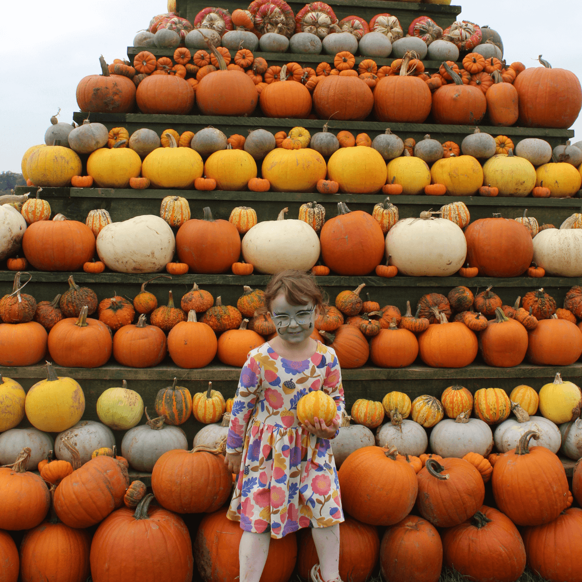 Darts Farm Pumpkin Fest