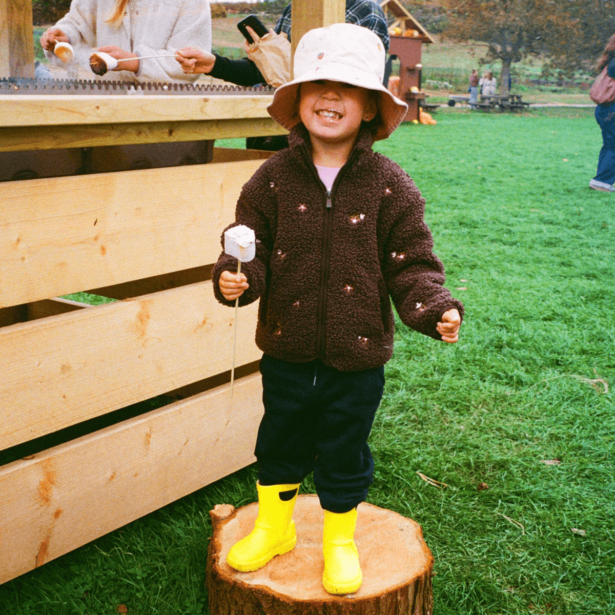 Darts Farm Pumpkin Fest