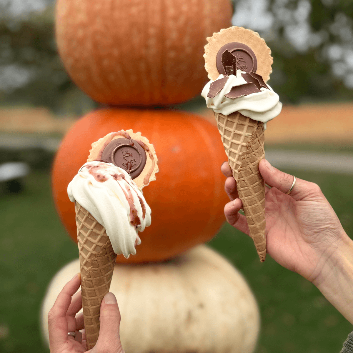 Darts Farm Pumpkin Fest