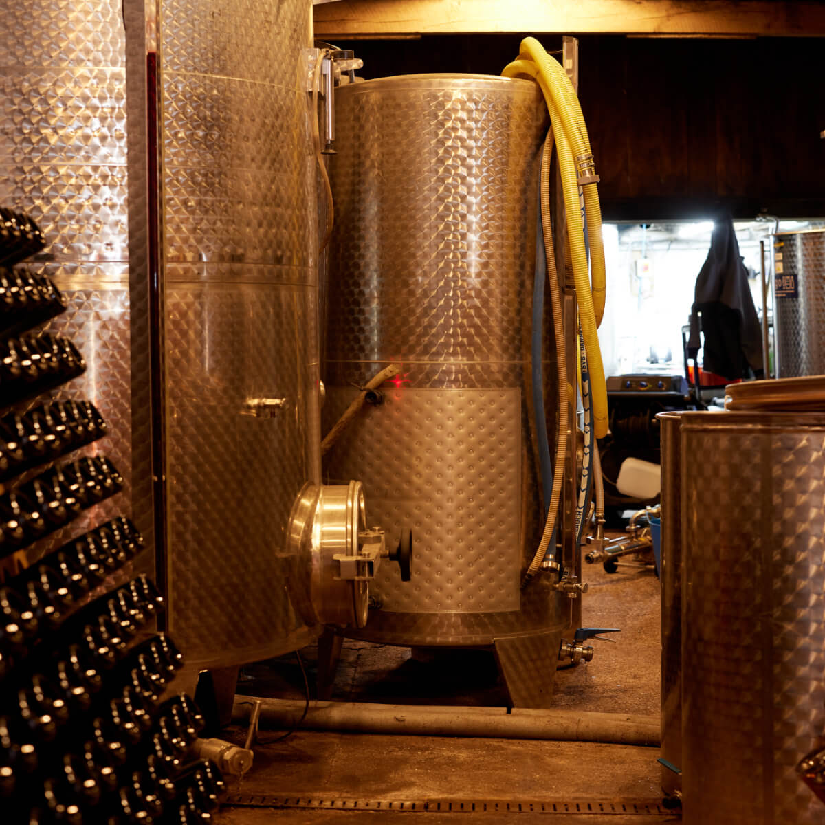 Pebblebed Vineyards Tours - 2025 Season
