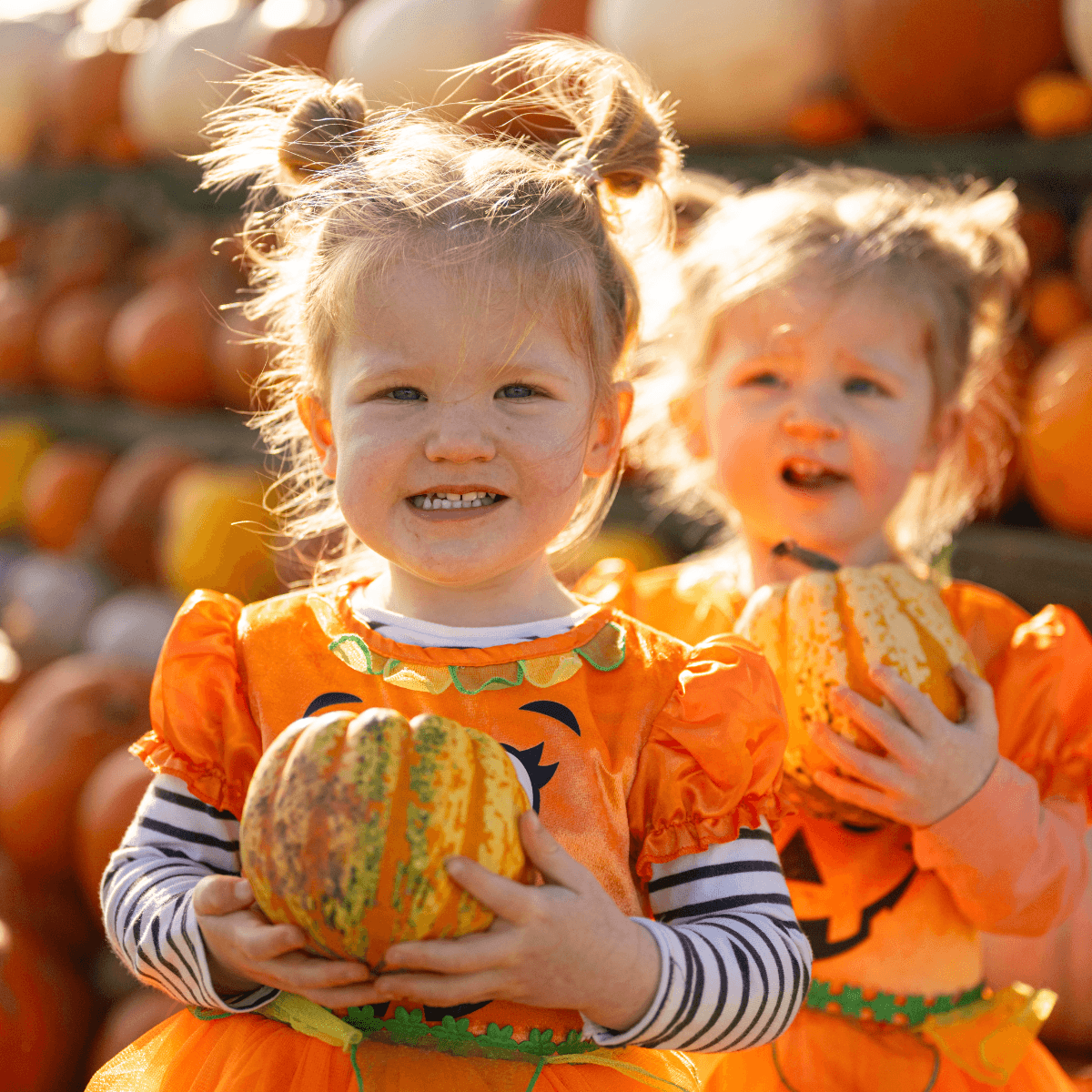 Pumpkin Fest 2026