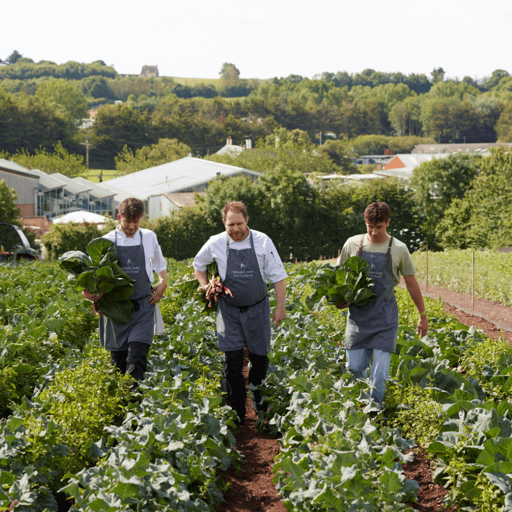 The Farm Table X The French House with Neil Borthwick, Mitch Tonks & Mark Hix | 05.08.26