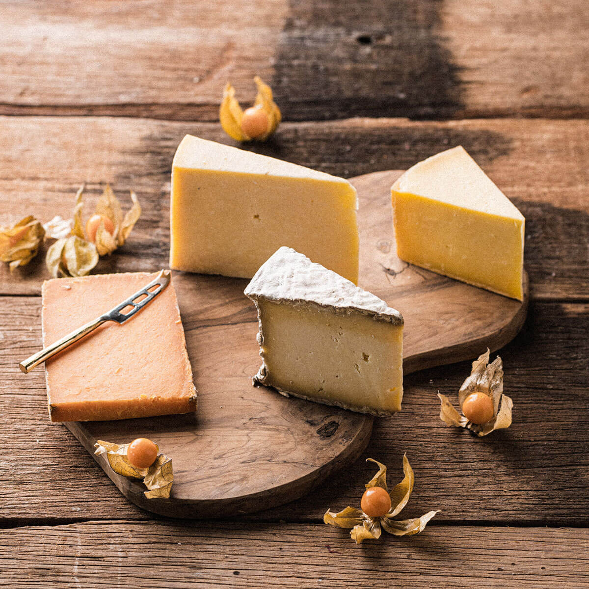 Artisan 5-Cheese Subscription