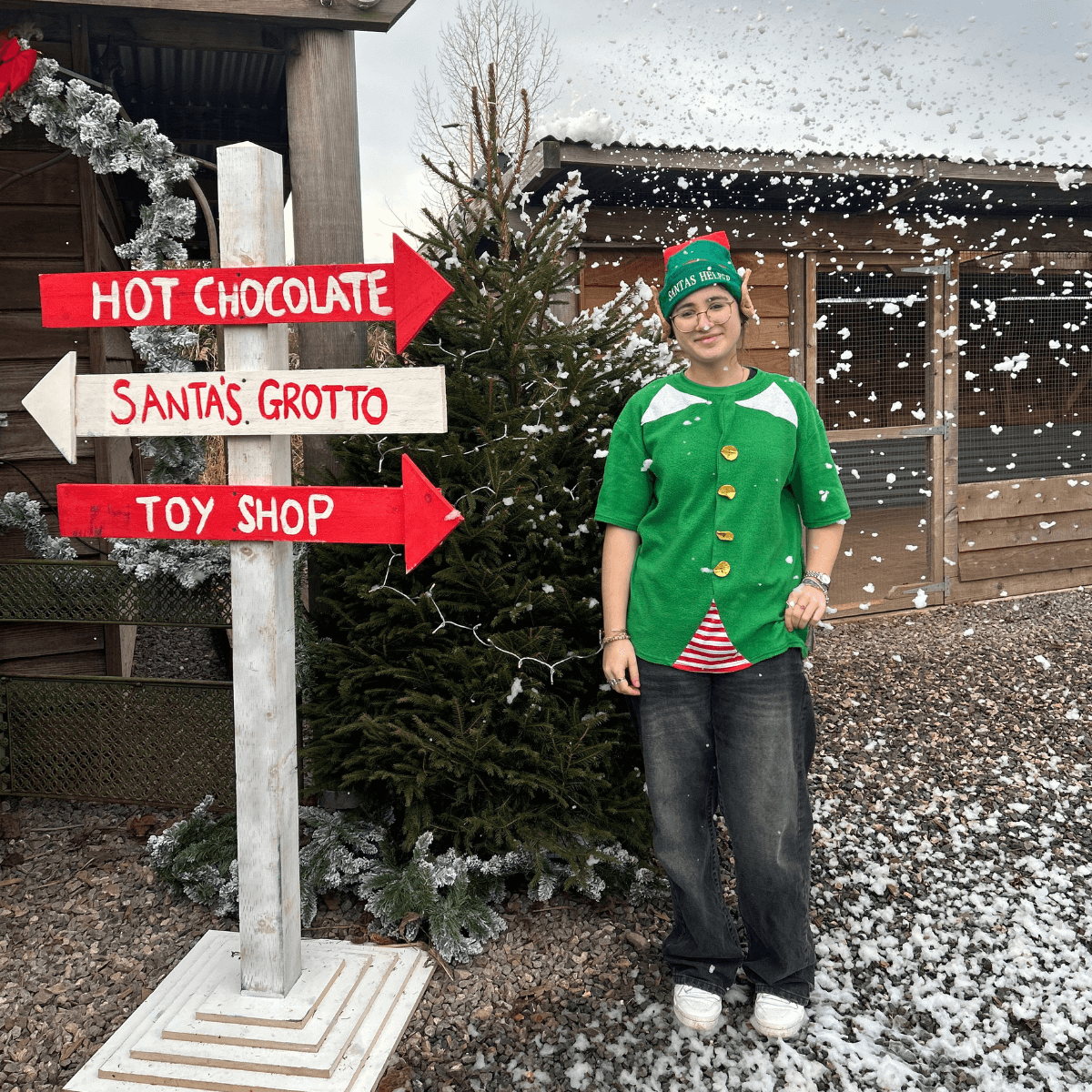 Santa's Grotto 2025