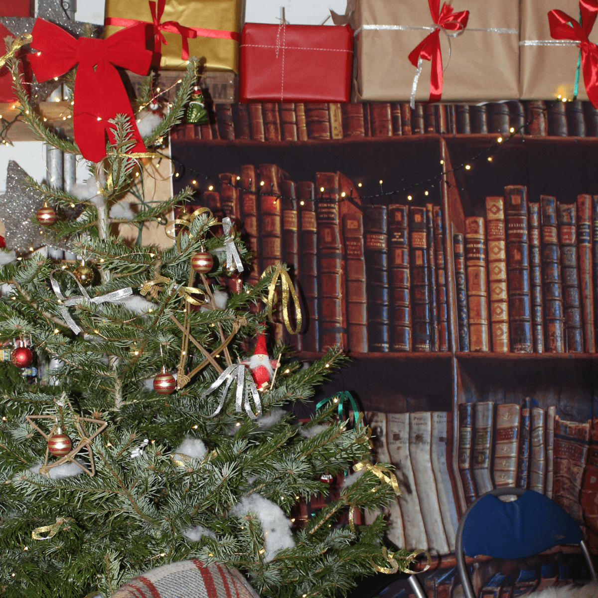 Santa's Grotto 2025