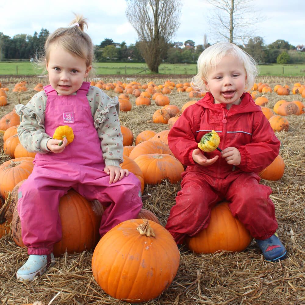 Darts Farm Pumpkin Fest