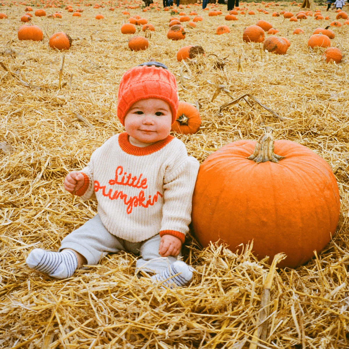 Darts Farm Pumpkin Fest