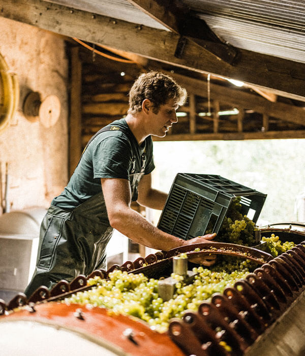 Winemaker Alex making traditional method sparkling wine.