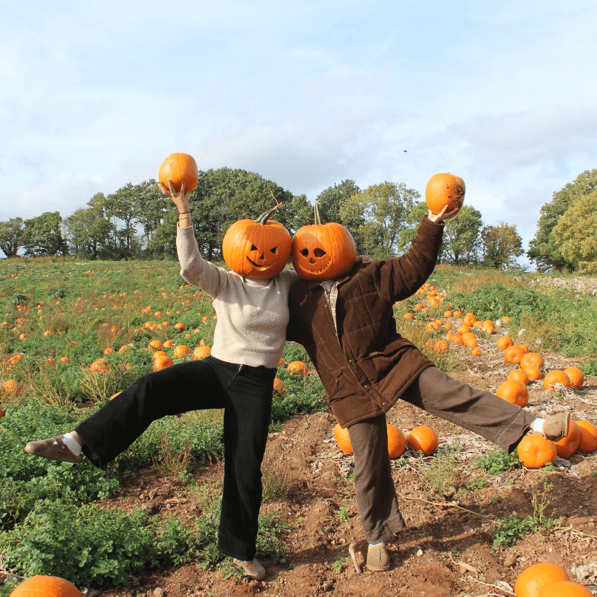 Darts Farm Pumpkin Fest