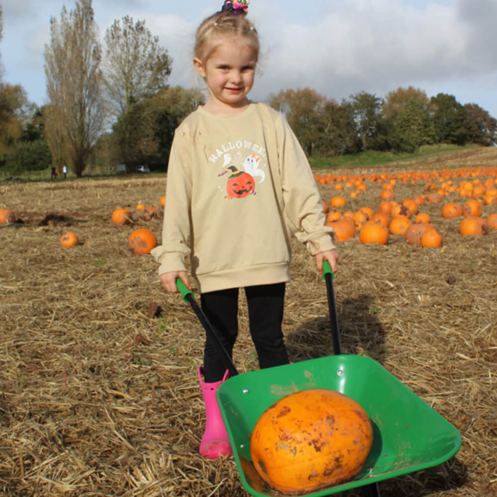 Darts Farm Pumpkin Fest