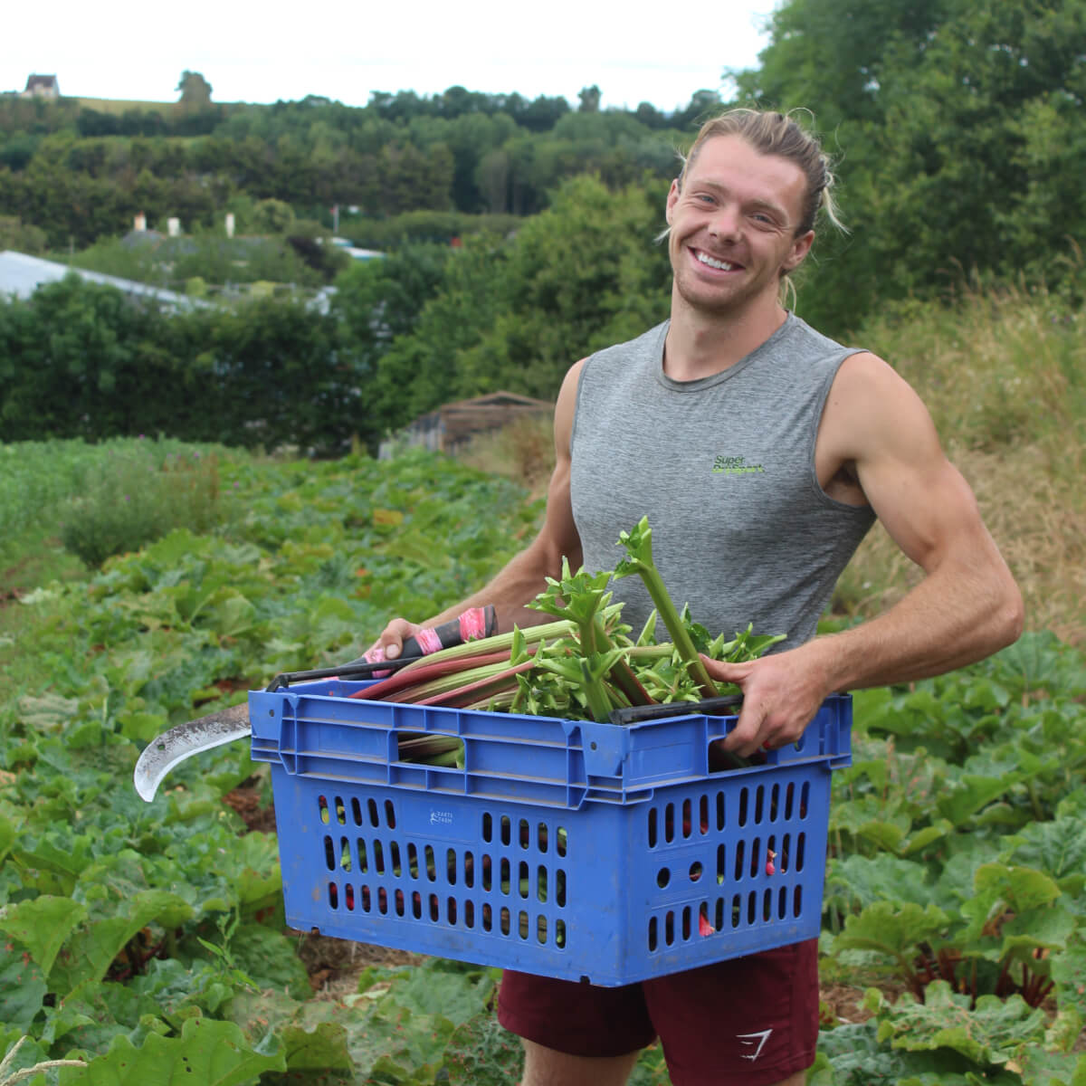 Darts Farm Rhubarb Gin