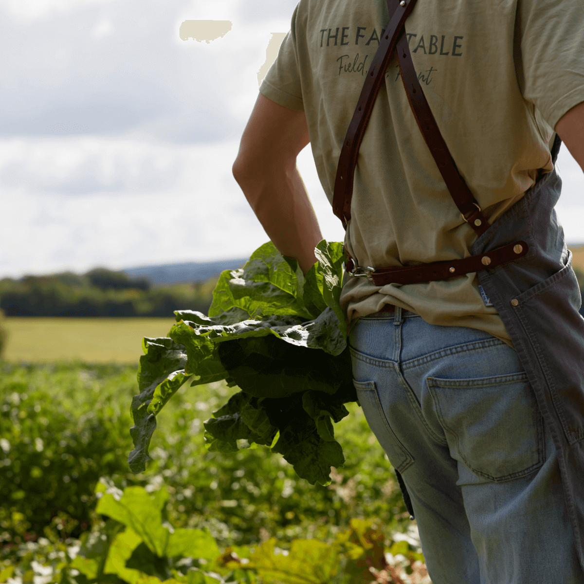 Wellness Supper | 28.01.26