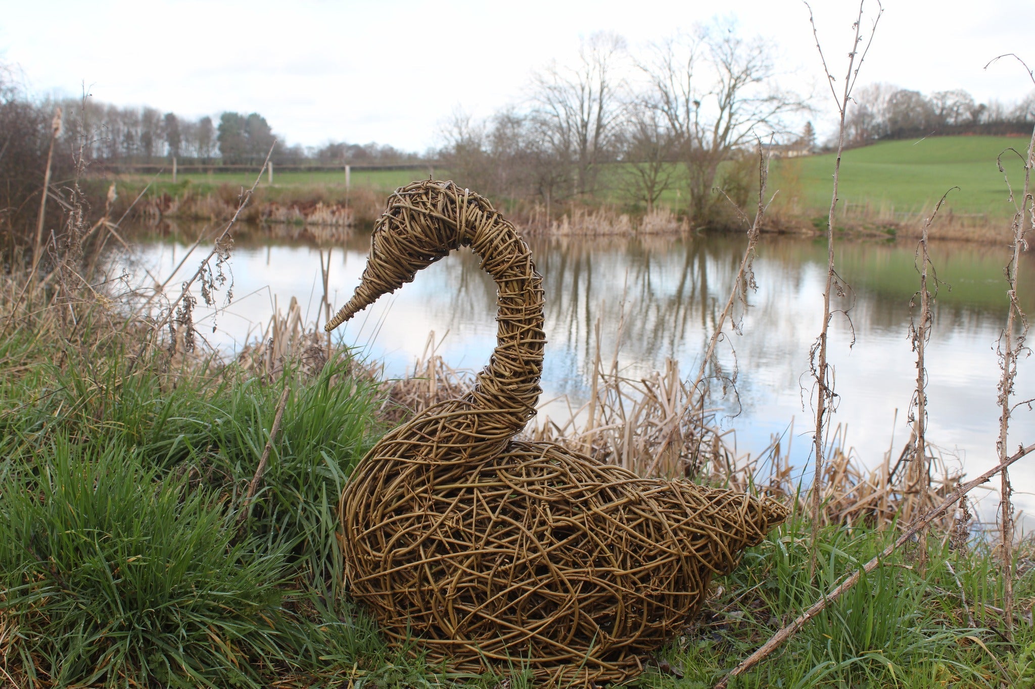 Willow Nesting Swan Masterclass | 25.04.24