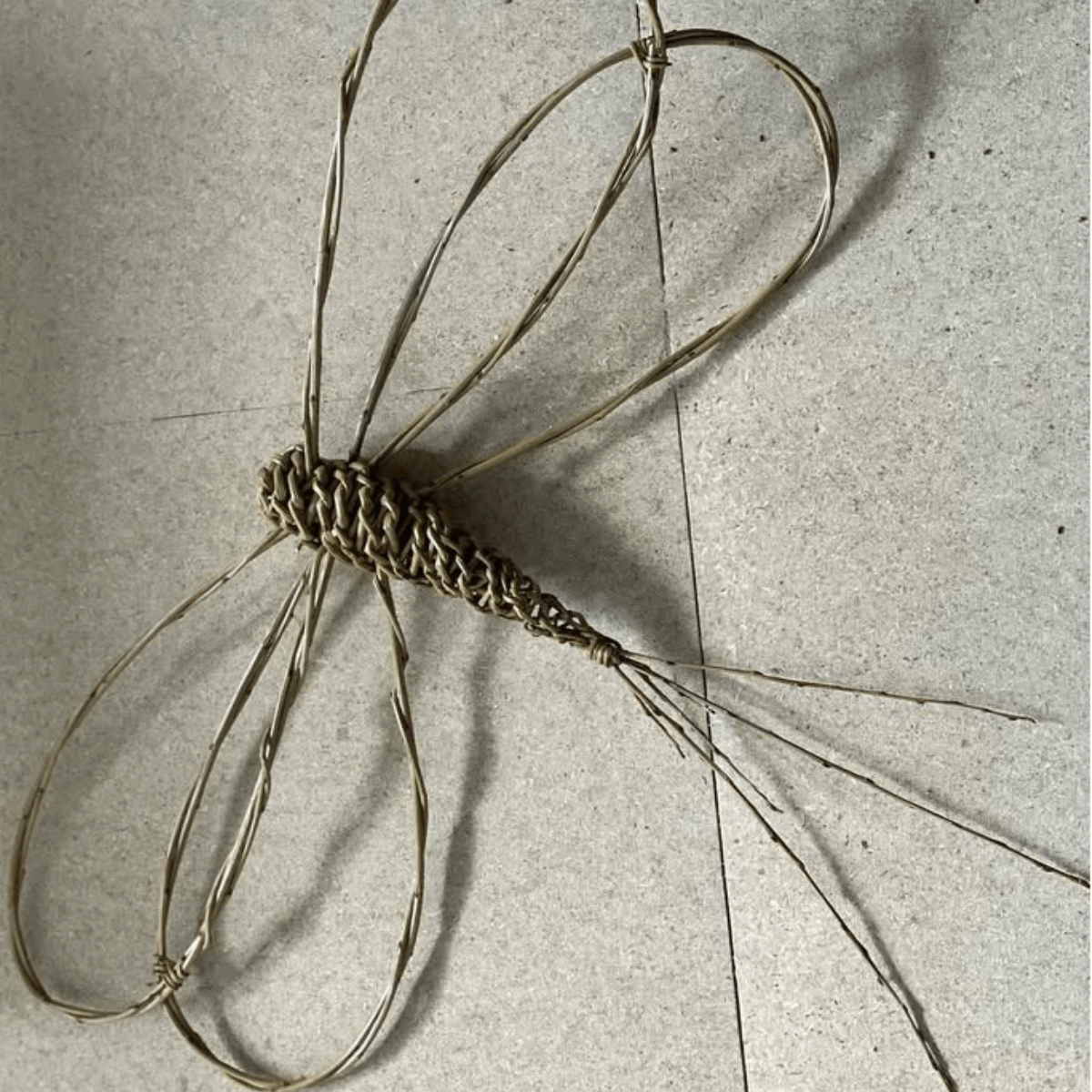 Willow Dragonflies Masterclass | 05.04.25