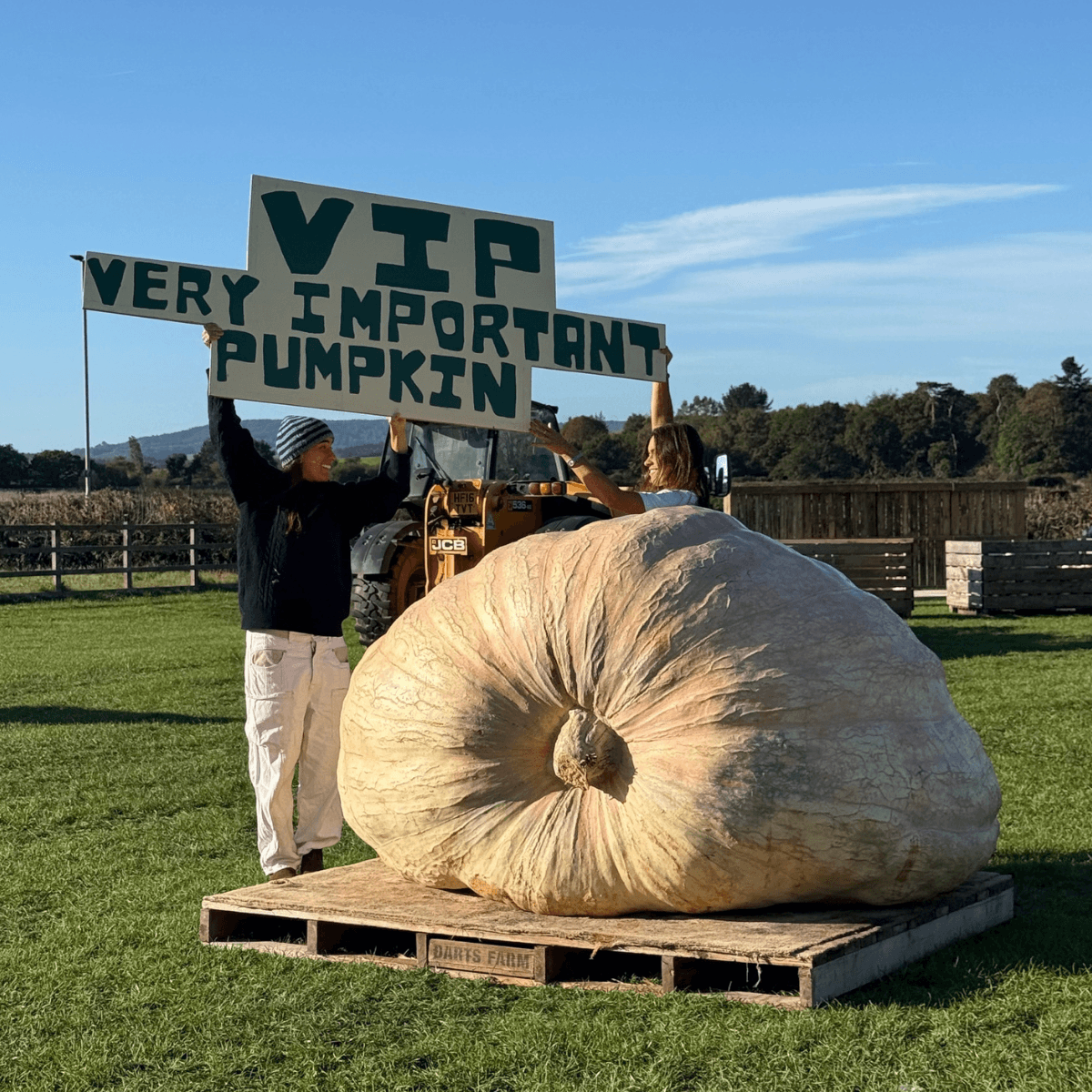 Pumpkin Fest 2026